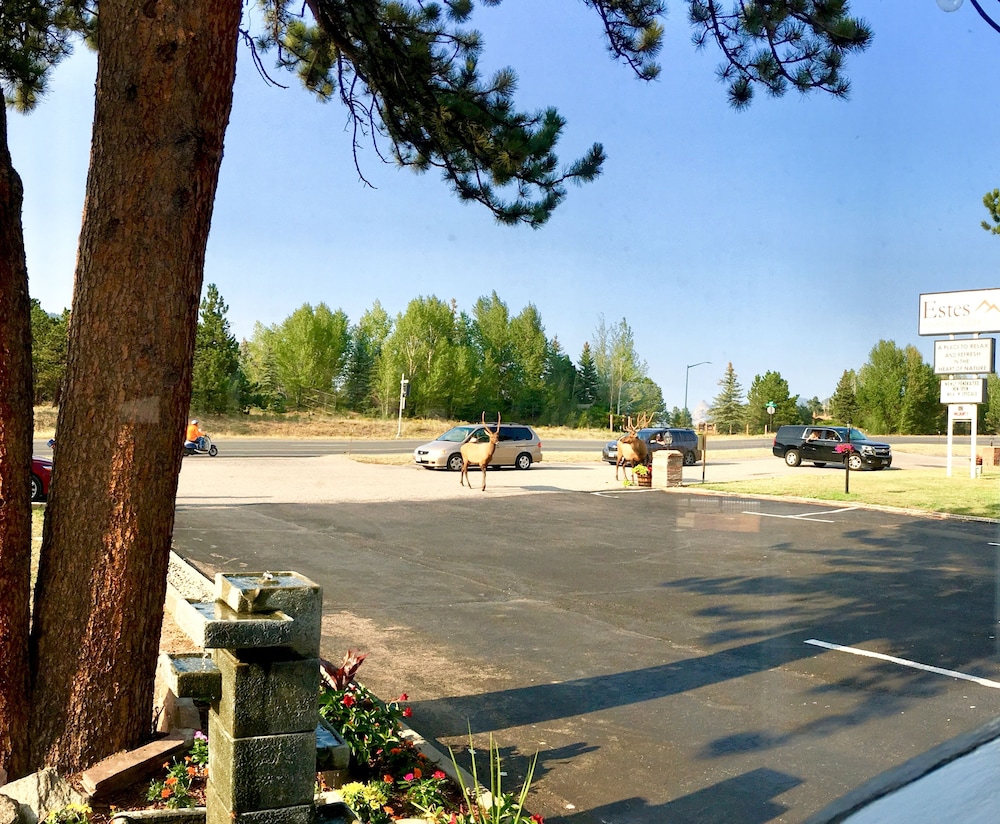 Estes Mountain Inn - photo 112