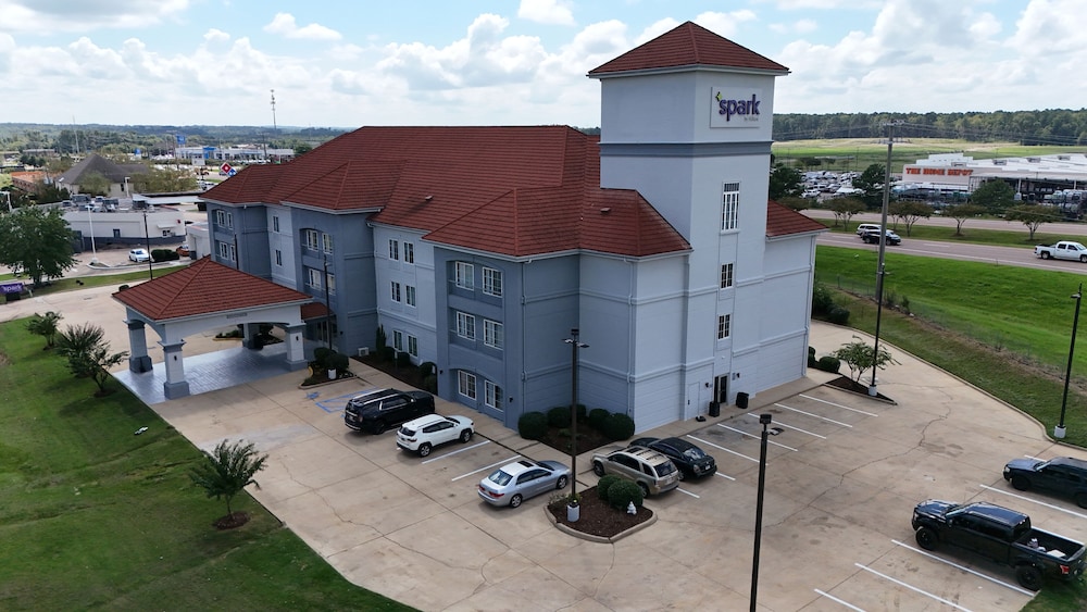 Spark by Hilton Brandon - photo 2