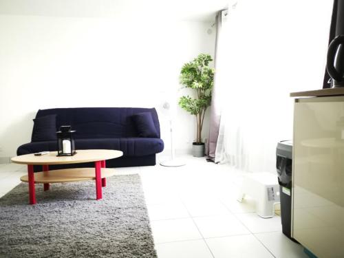 Studio de Charme 30' Paris 5' Evry 10' Orly — hotel in Ris-Orangis