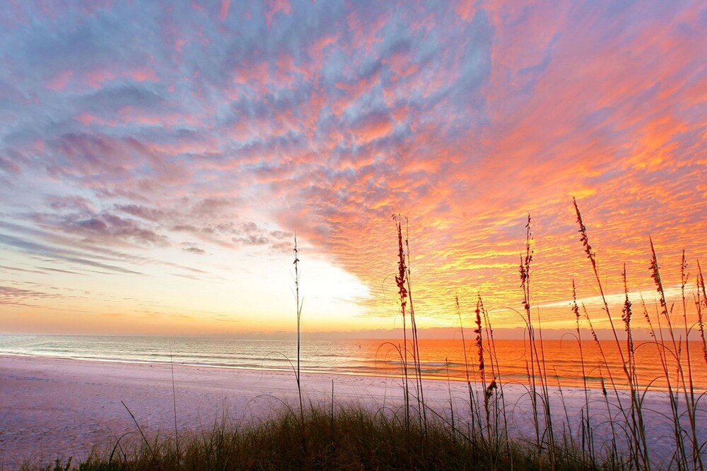 A Shore Thing by Beachside Management - photo 42