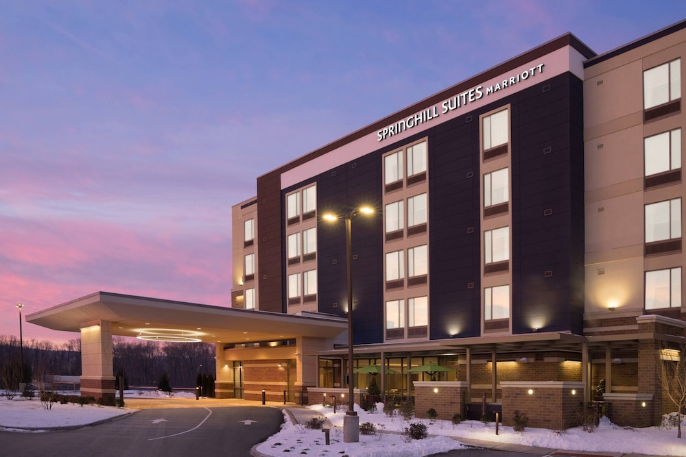 SpringHill Suites by Marriott Allentown Bethlehem Center Valley - photo 27