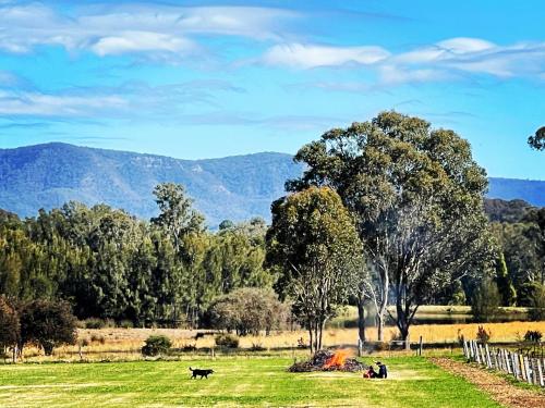 Copper Creek Retreat sleep next door to the Lions in Cessnock, Australia