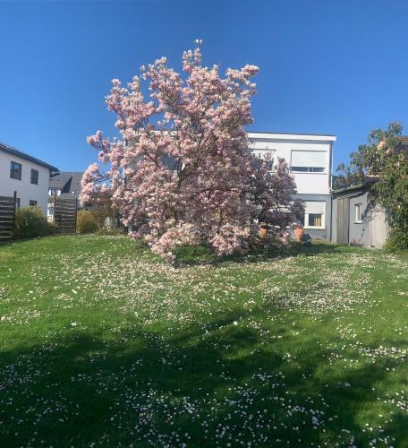 Oase der Gemütlichkeit an den See n in Radolfzell, Germany