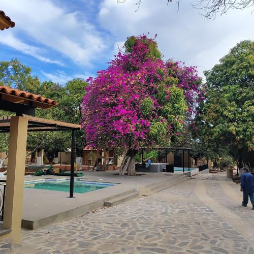 Hotel Cabañas de los Angeles in Tequila, Mexico