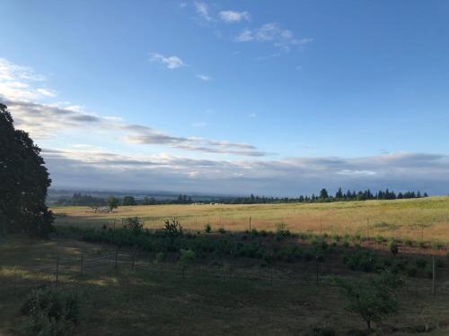 2 Bedroom Suite: Views Private Entrance EVchgr — 4-Star Luxury Hotel in Amity, United States