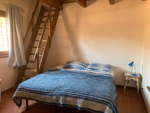 Villa Sandra — Stintino — photo 4