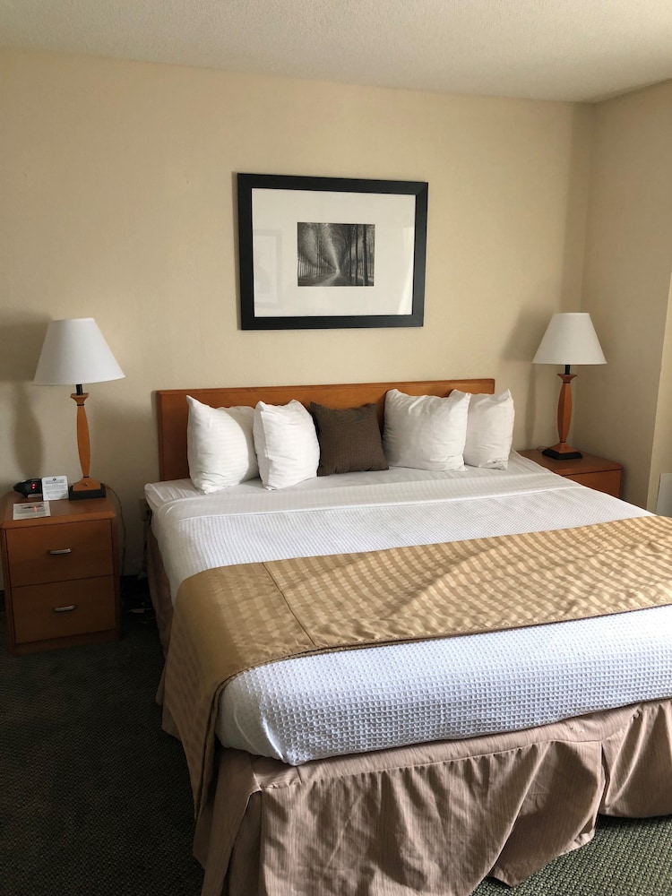 Capital Plaza Hotel - photo 10