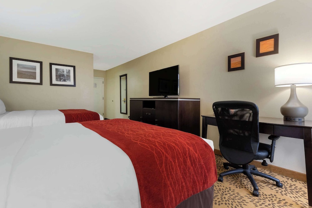 Comfort Inn North of Asheville - photo 41