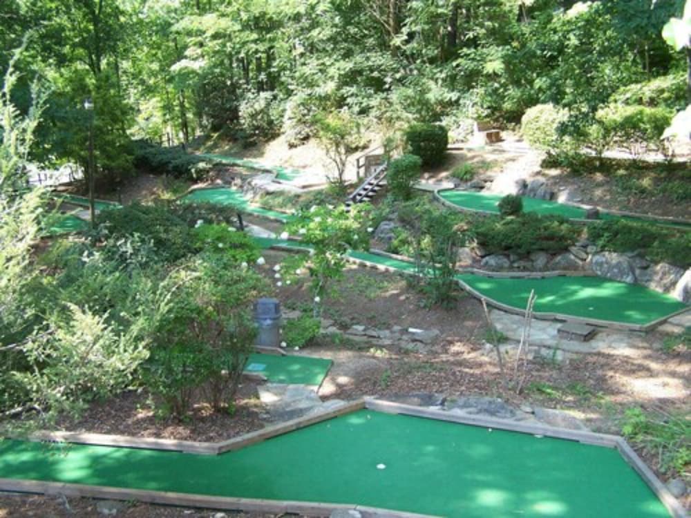 Fontana Village Resort - photo 14