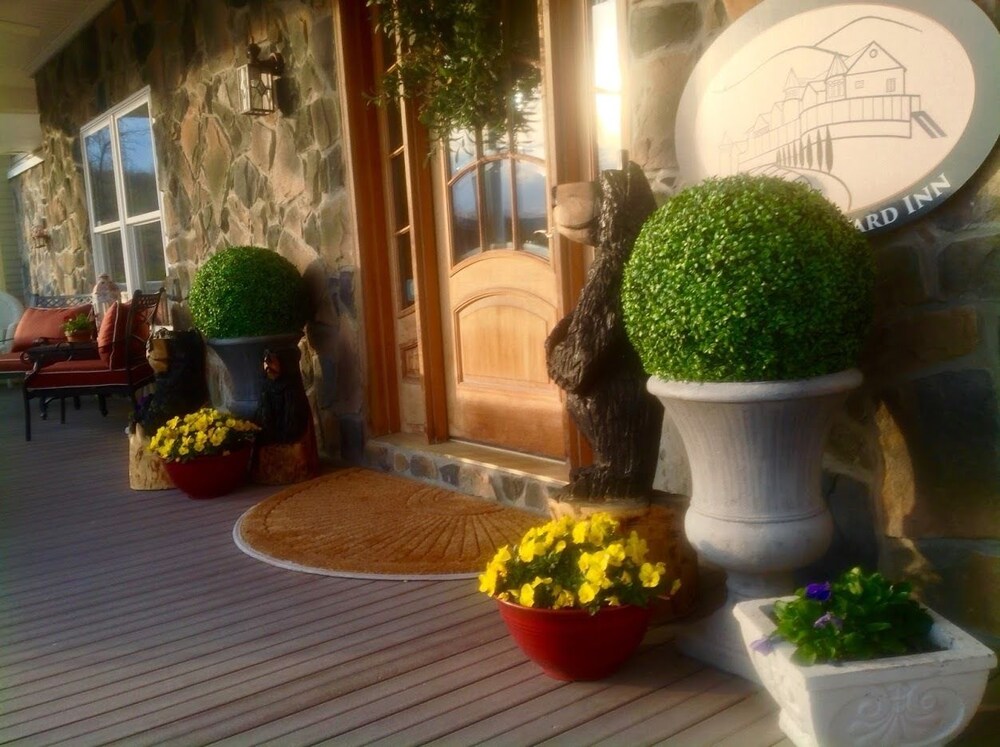 Skyline Vineyard Inn - photo 56