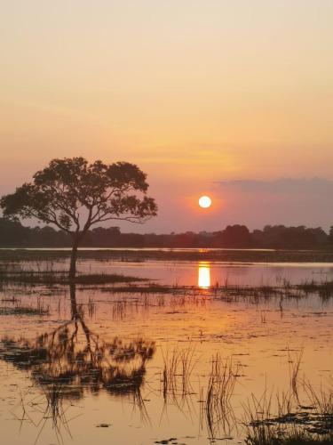 Jungle View Inn - carbon neutral hotel in Trincomalee