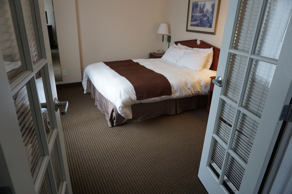 River Hills Hotel - photo 5