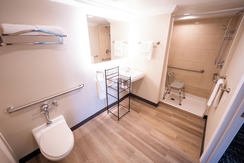 Mai Hana Hotel & Suites International Drive - photo 35