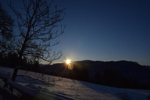 Niederhaeusererhof — Falzes — photo 5
