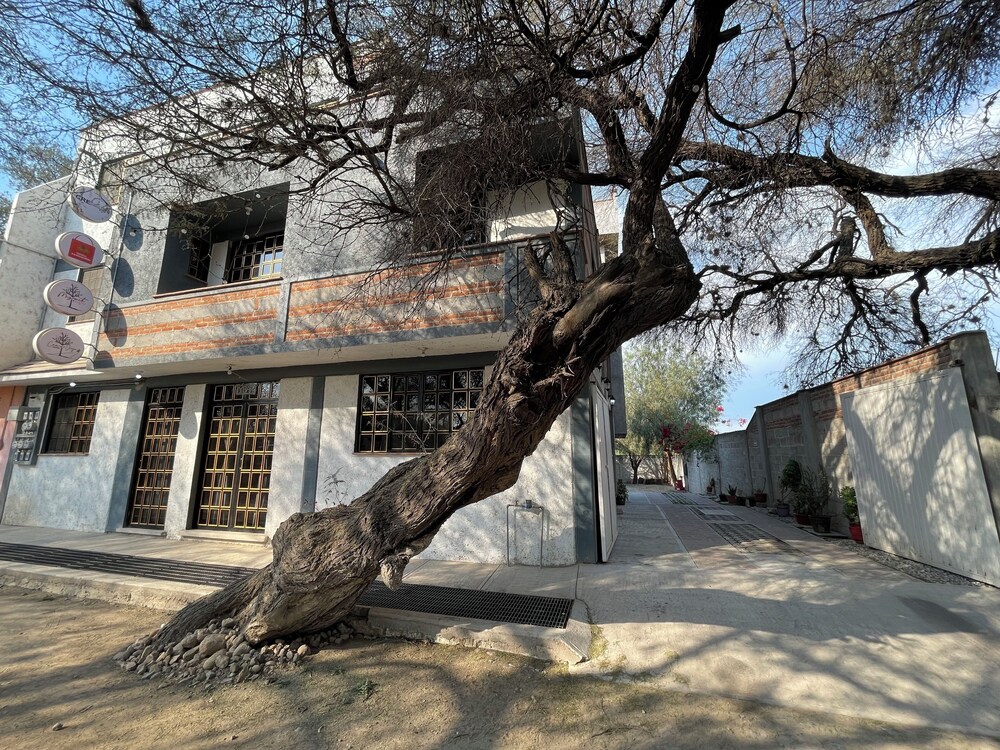 Hotel Camino Viejo in Ixmiquilpan, Mexico