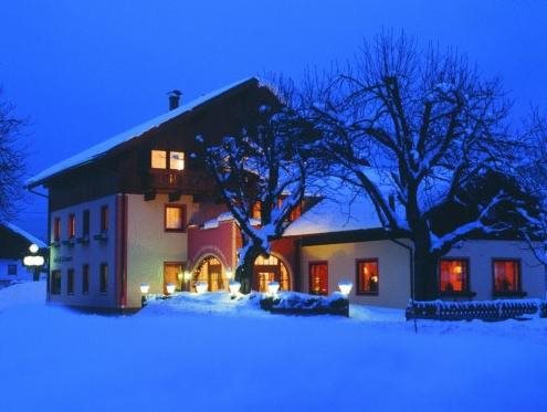Hotel zum Schwanen Appartement 1 — hotel in Pflach