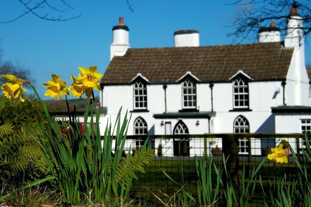 Tudor Lodge — 4-Star Luxury Hotel in Tenby, United Kingdom