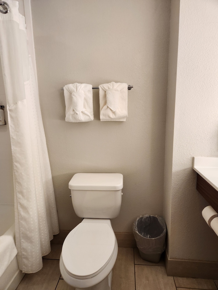 Holiday Inn Express Crystal River by IHG - photo 18