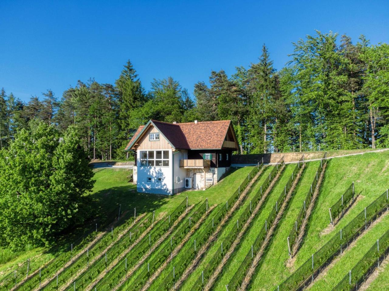 Ferienhaus Wagnerfranzl — hotel in Eibiswald