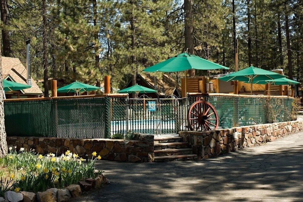 Golden Bear Cottages - photo 91
