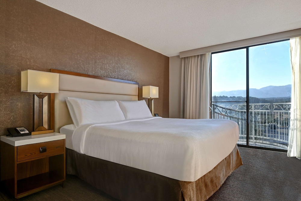 Embassy Suites by Hilton Colorado Springs - photo 12