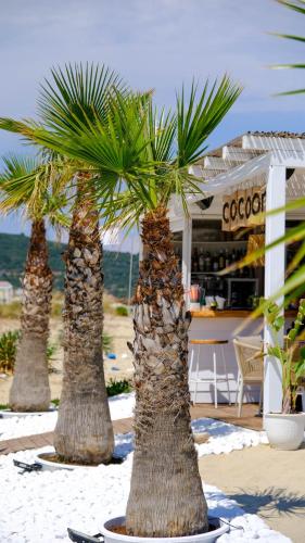 Cocoon Hotel Beach bar — Sarti — photo 4