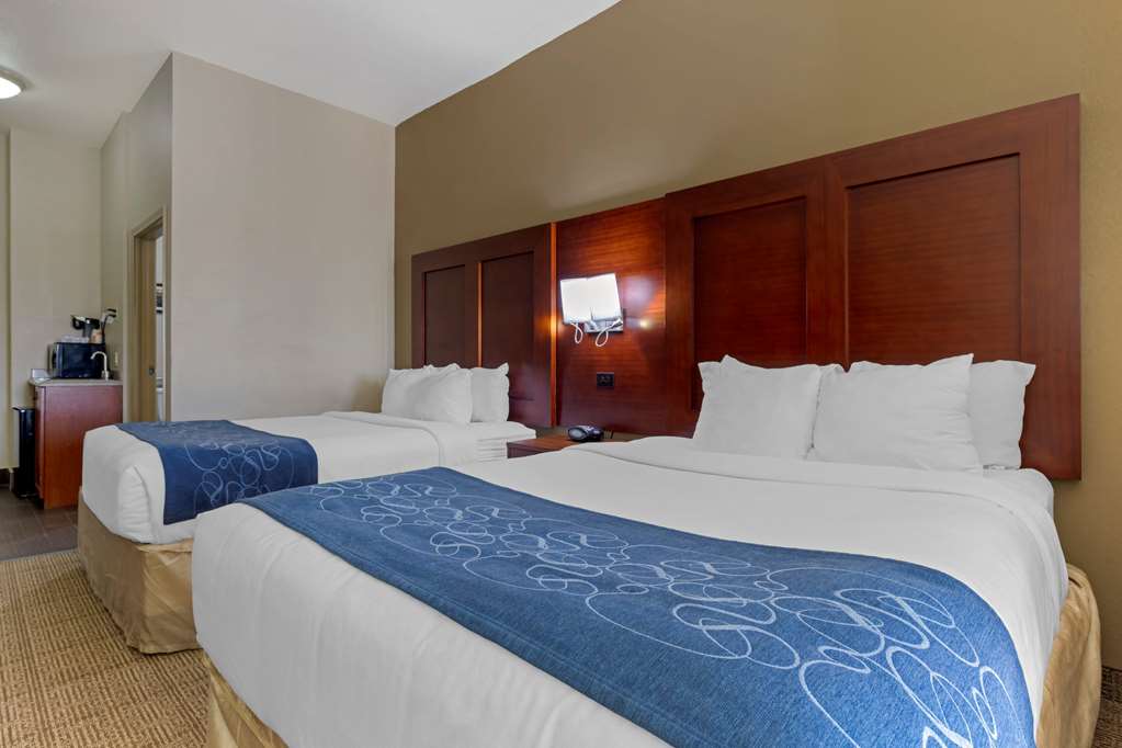 Comfort Suites Gainesville - photo 21