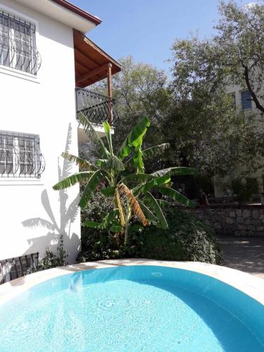 Serene Oasis in Fethiye Villa Lynste Ovacik Turkey — 4-Star Luxury Hotel in Fethiye, Turkey