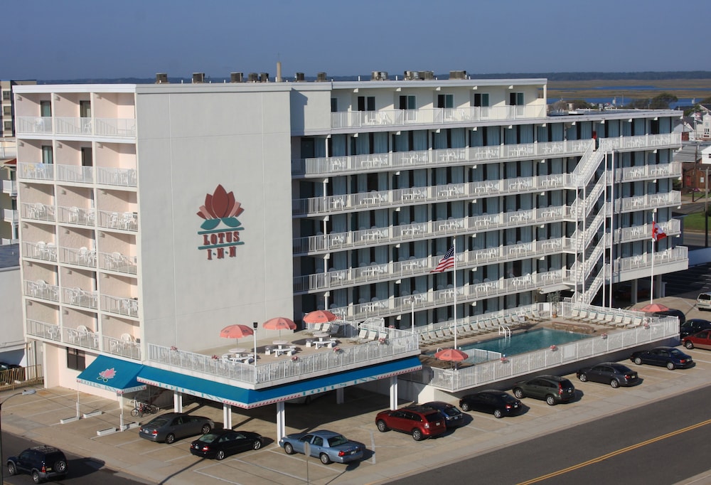 Lotus Inn - photo 39