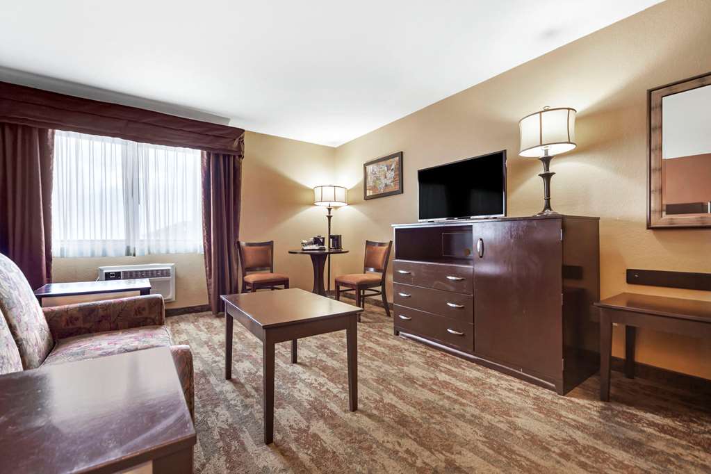 Econo Lodge Black Hills - photo 28