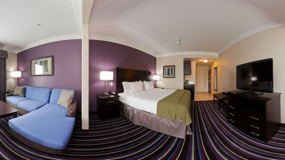 Holiday Inn Express Hotel & Suites Raceland Highway 90 by IHG - photo 18