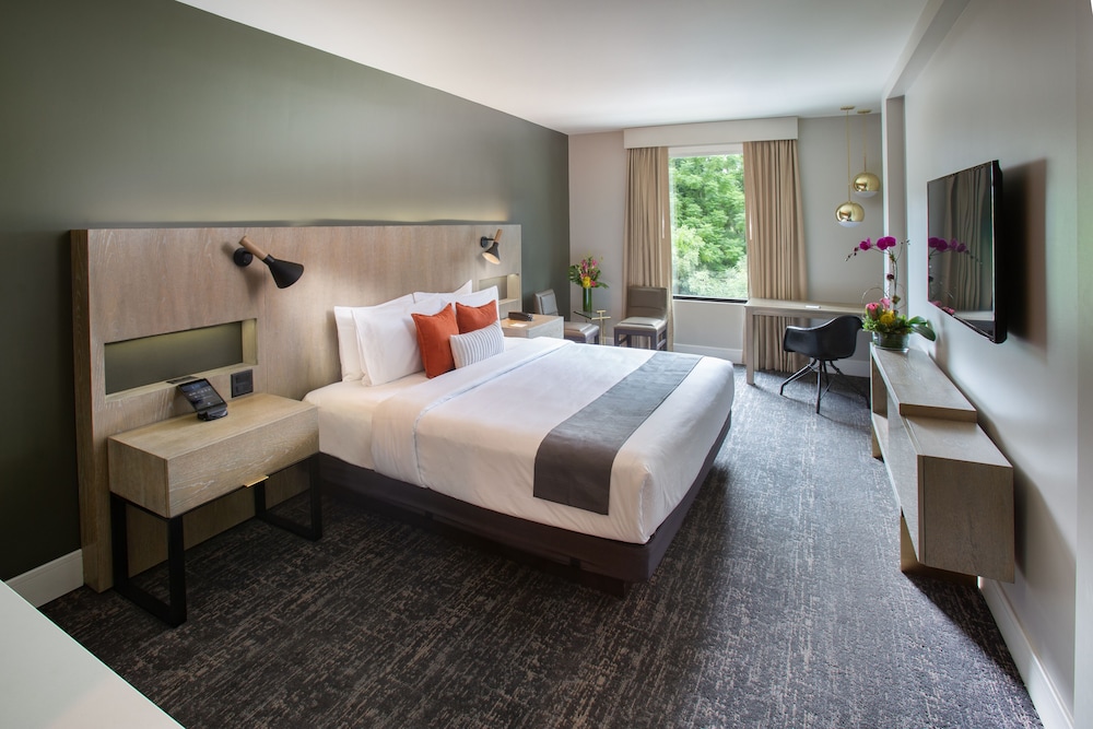 The Delaney Hotel - photo 10