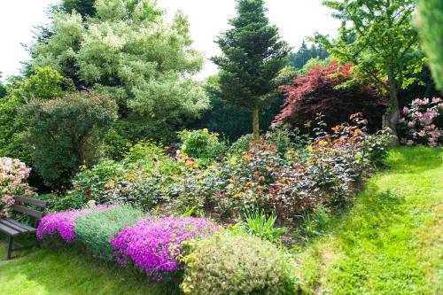 Agroturystyka Wzgorze Magnolii in Klodzko, Poland