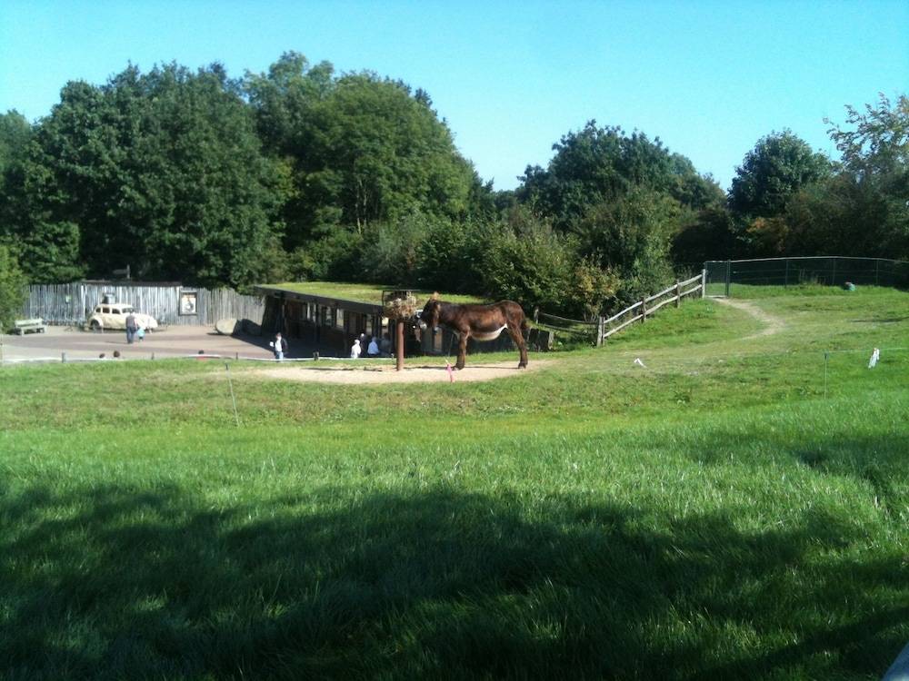 Children's activities