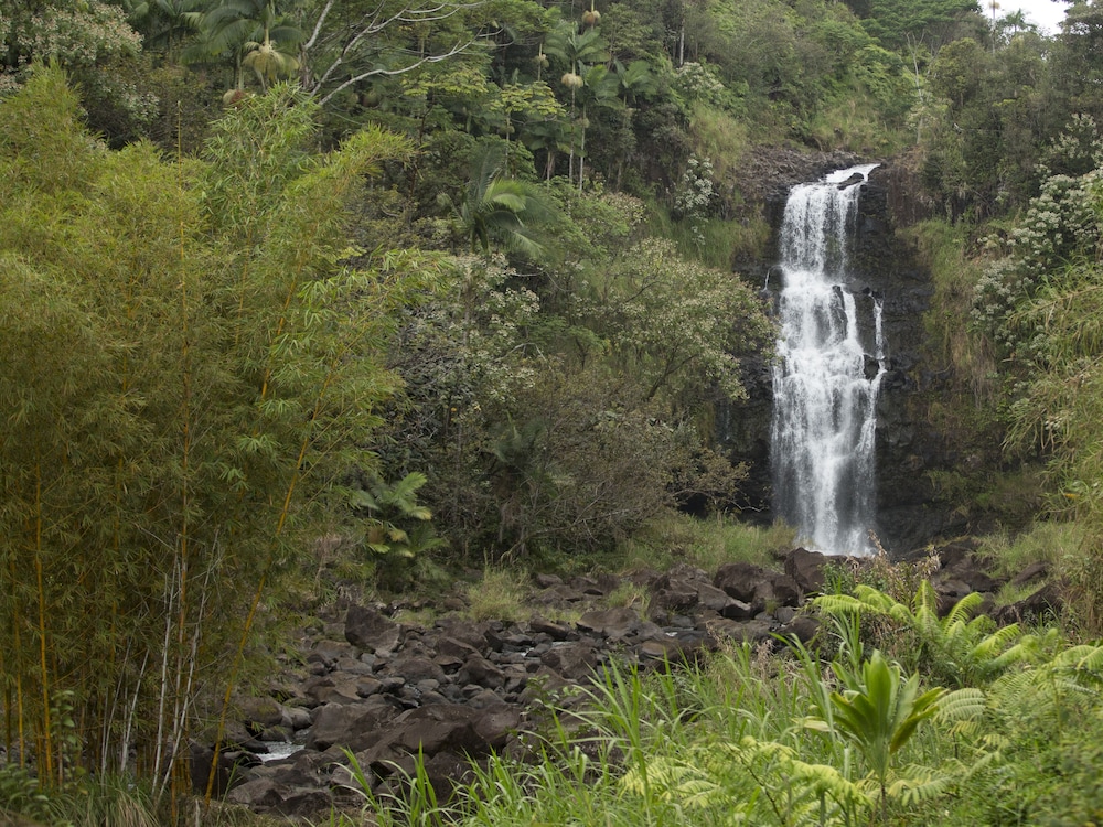The Inn at Kulaniapia Falls - photo 60
