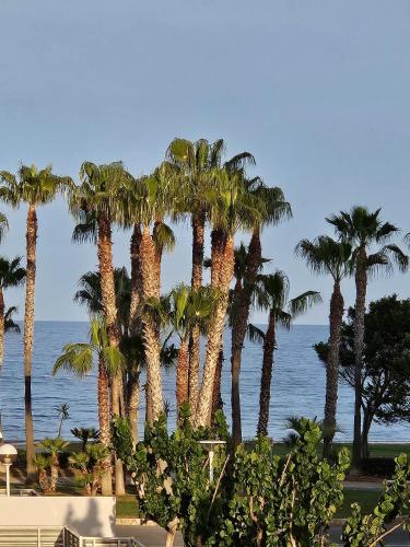 Mondrian Magic World Sea View First Line Of The Beach 20858285 — Oropesa Del Mar