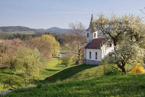 Willi's Bauernhof - carbon neutral hotel in Leiben