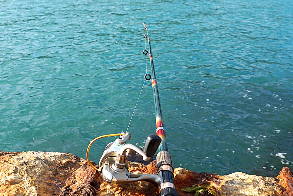 Blue Fish Cove Resort - photo 102