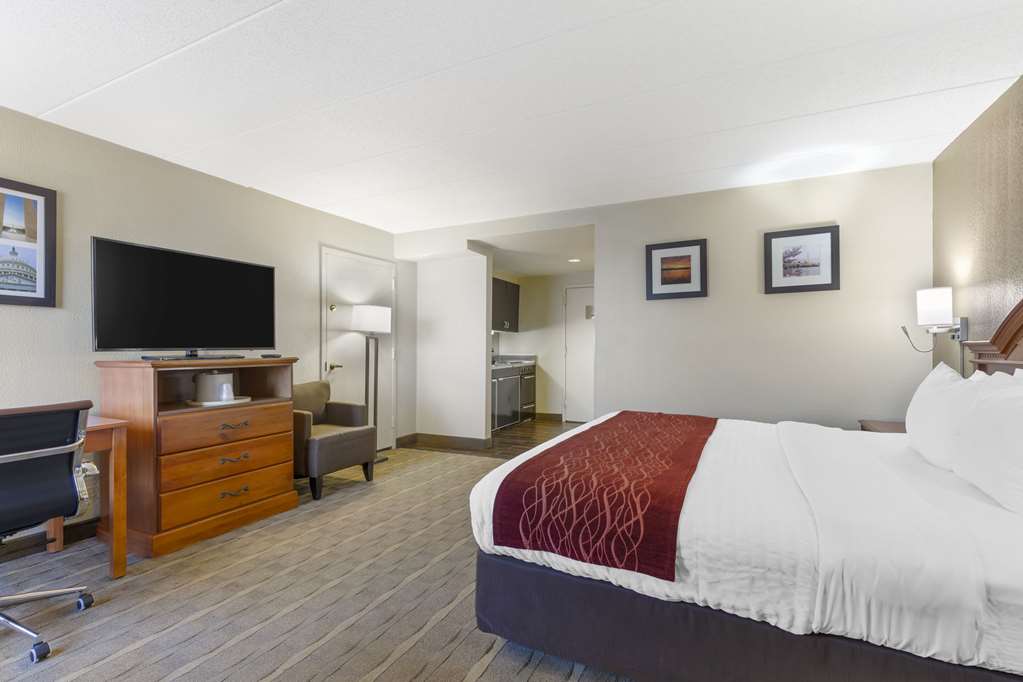 Comfort Inn University Center - photo 15