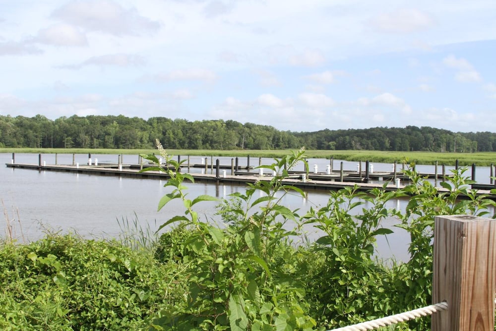 Surry Seafood Company - photo 18