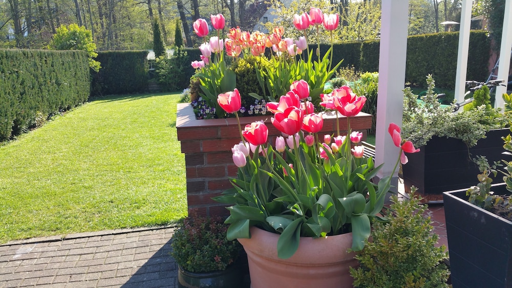 Hotel Pension Am Fuchsberg in Bad Doberan, Germany