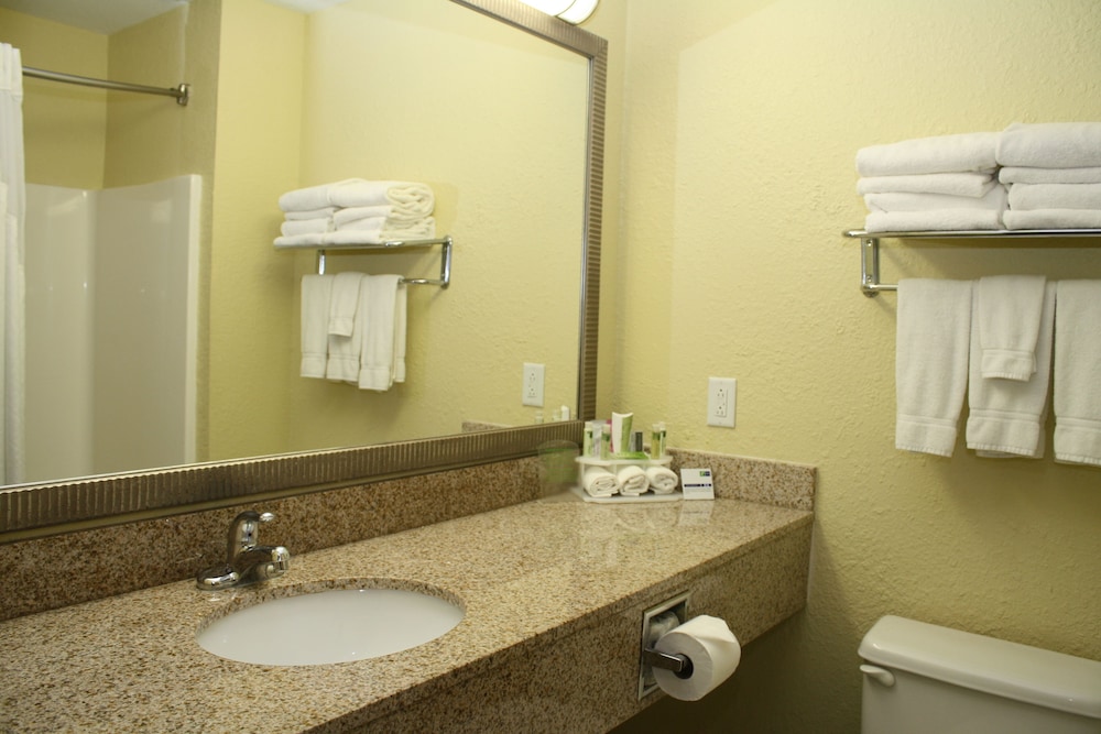 Holiday Inn Express Winfield Teays Valley - photo 8