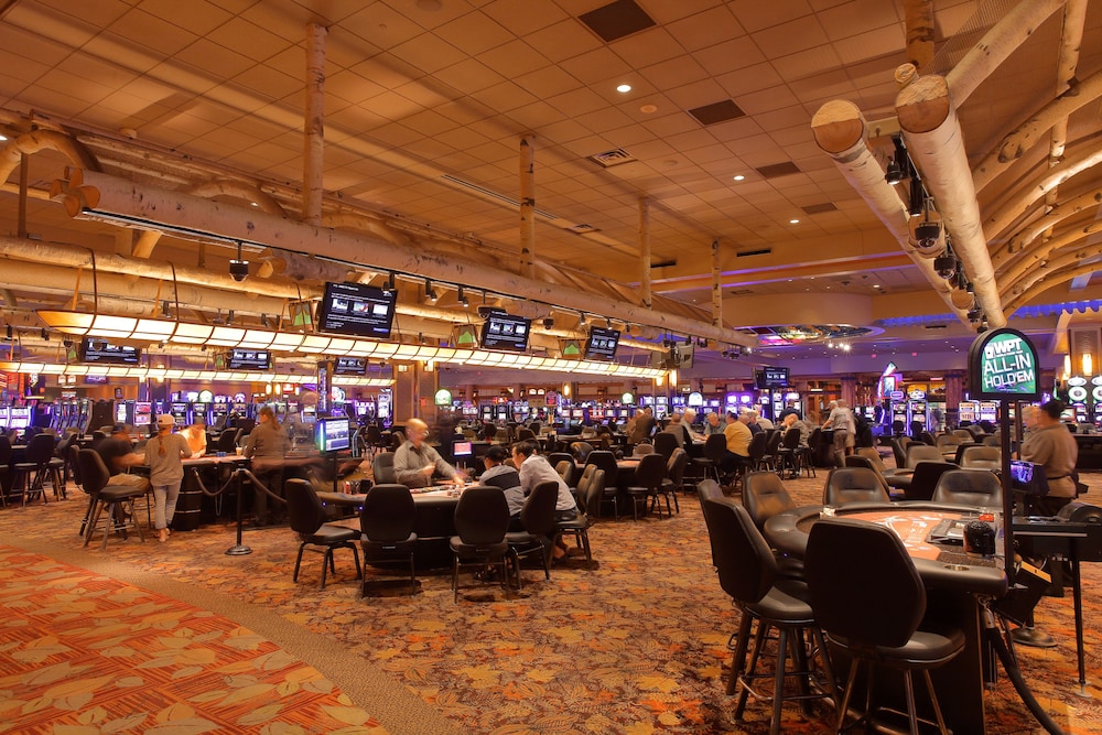 Four Winds Casino Resort New Buffalo - photo 35