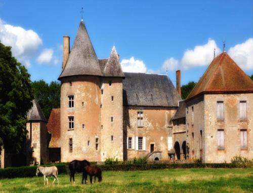 Château du Max — hotel in Le Theil-De-Bretagne