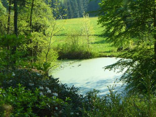 Forstgut Stübeckshorn — Soltau — photo 3