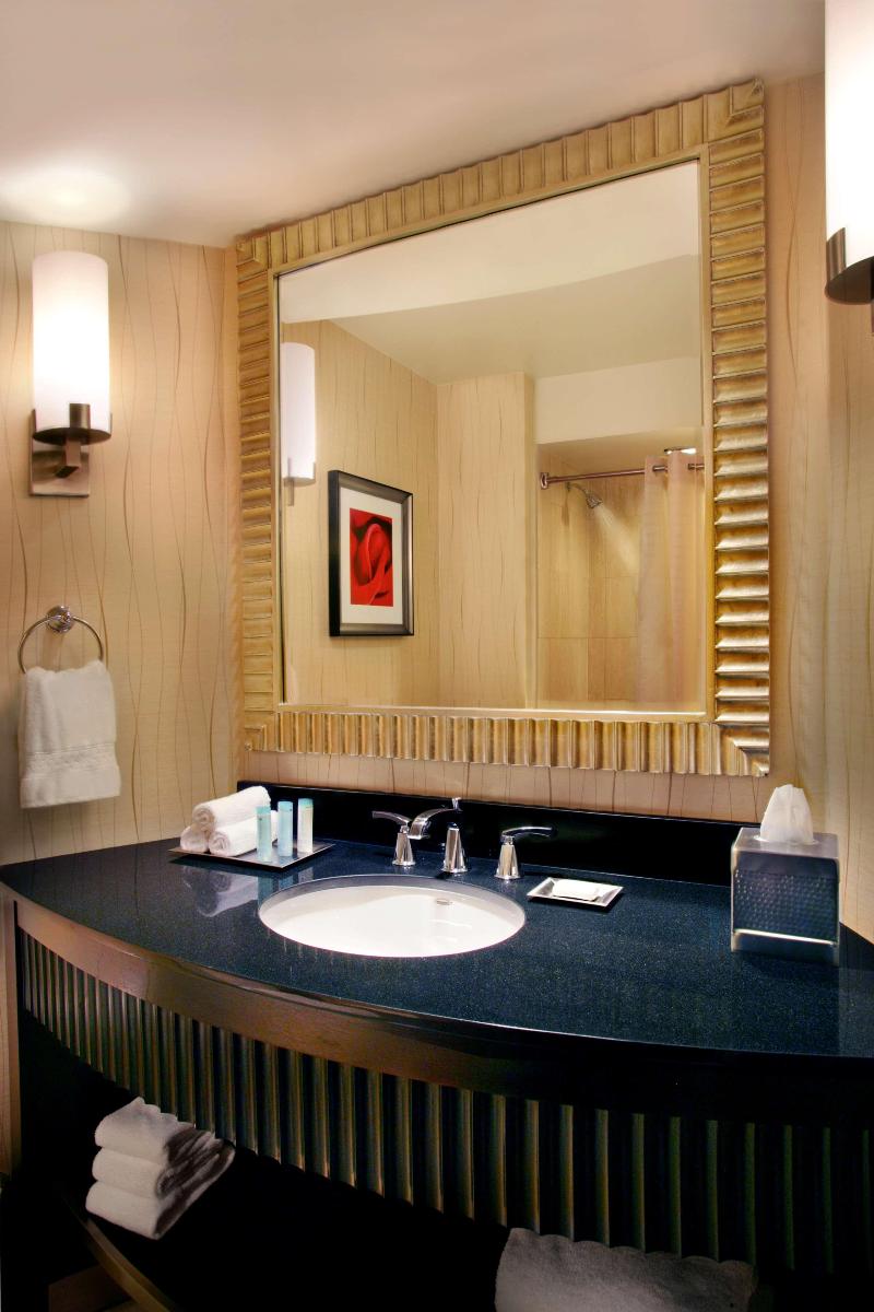 Hilton Rosemont Chicago O'Hare - photo 103