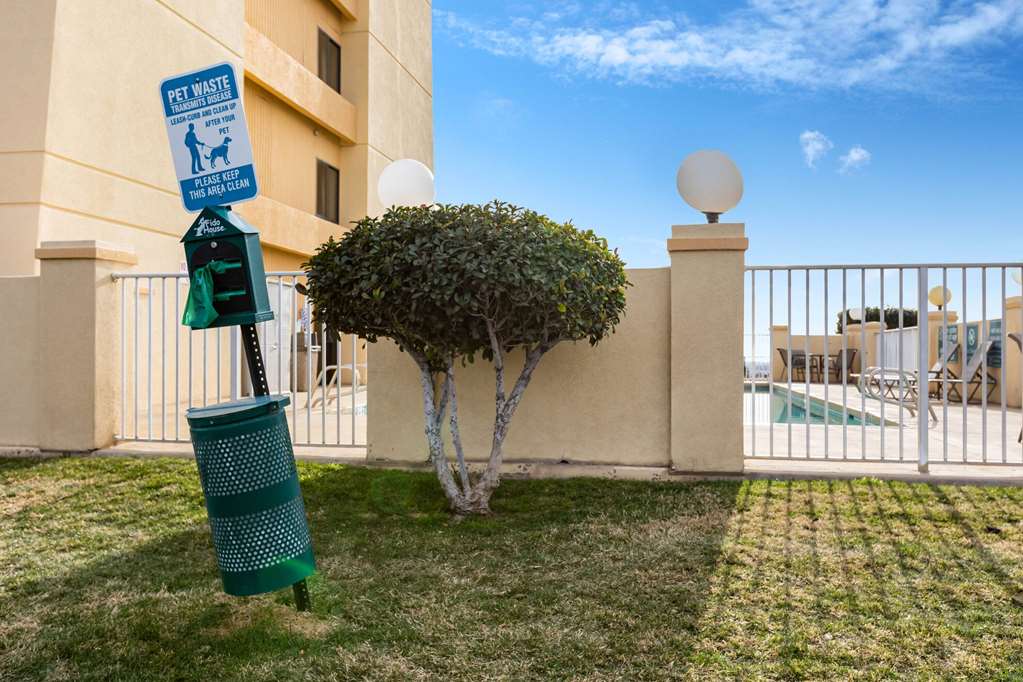 La Quinta Inn & Suites by Wyndham El Paso East - photo 27