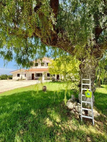 Villa Andrea San Lorenzo — 4-Star Luxury Hotel in Noto, Italy