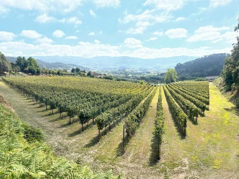 Quinta Picouto de Cima in Guimaraes, Portugal