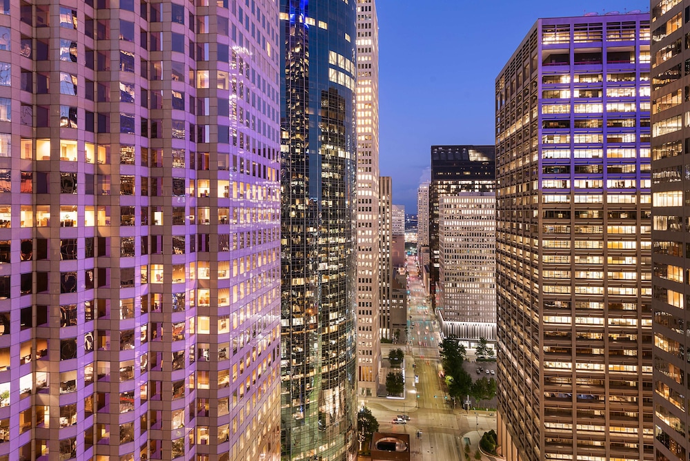 Hyatt Regency Houston Downtown - photo 9